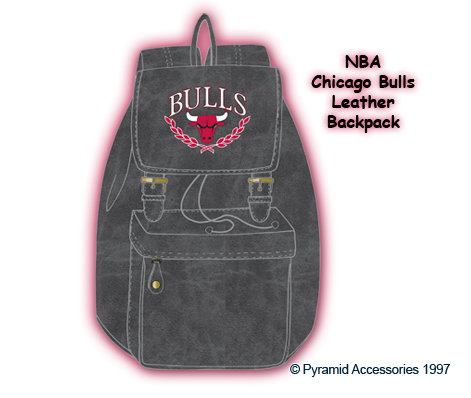 ba_AFAW_BP_ACC_NBA_Bulls_BP